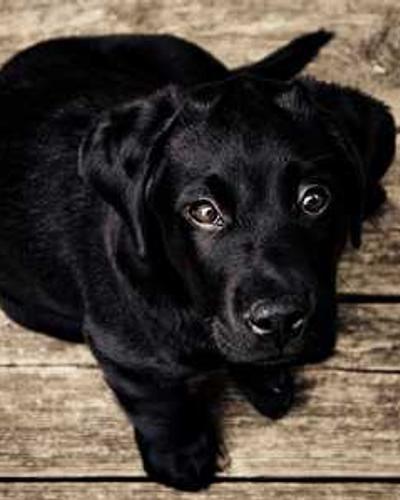 《星空下的约定》治愈漫画